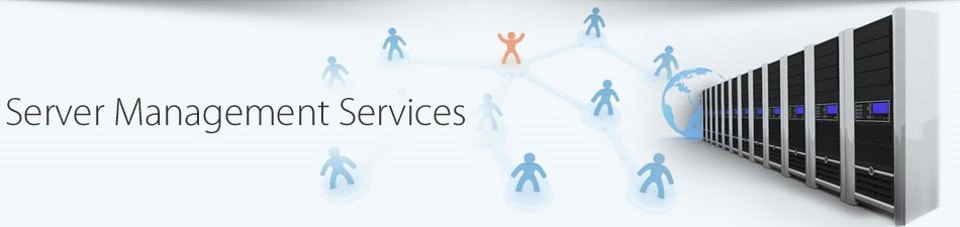  Services